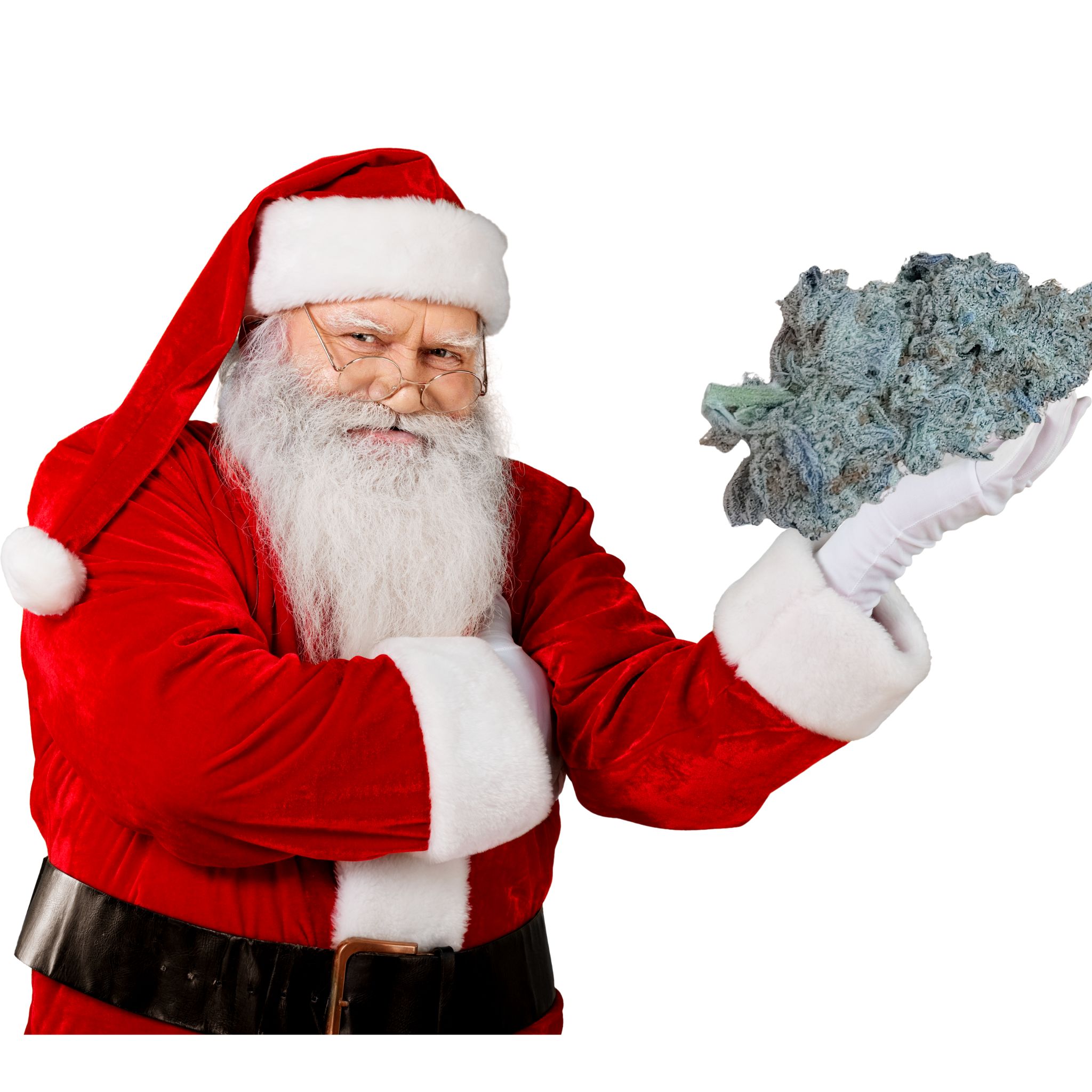 Santa clause holding flowers